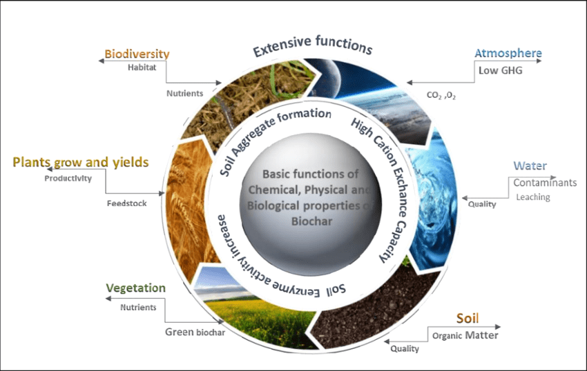 Biochar use